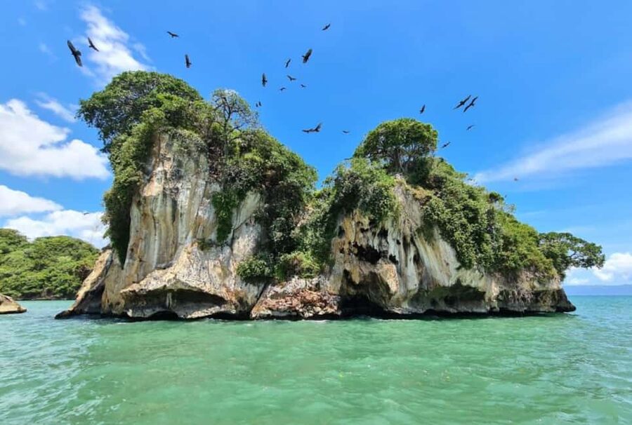 Samana: Los Haitises National Park & Caño Hondo Day Tour - Swimming at Caño Hondo