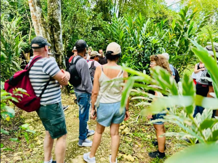 Samana: Los Haitises National Park & Caño Hondo Day Tour - What the $85 price really covers