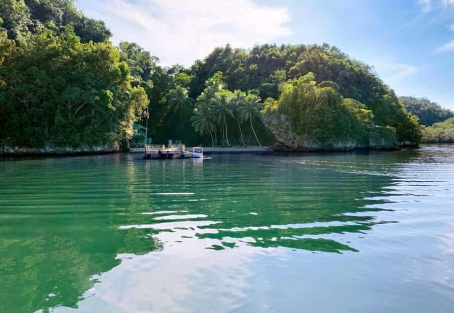 Samana: Los Haitises National Park & Caño Hondo Day Tour - Comfort, fitness, and weather