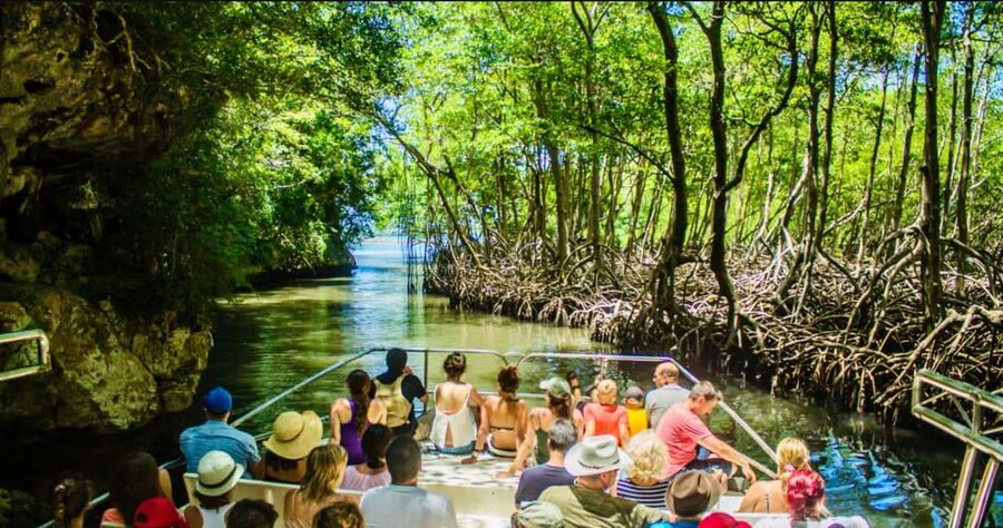 Samana: Los Haitises National Park & Cayo Levantado Tour - Why the caves are the heart of this tour