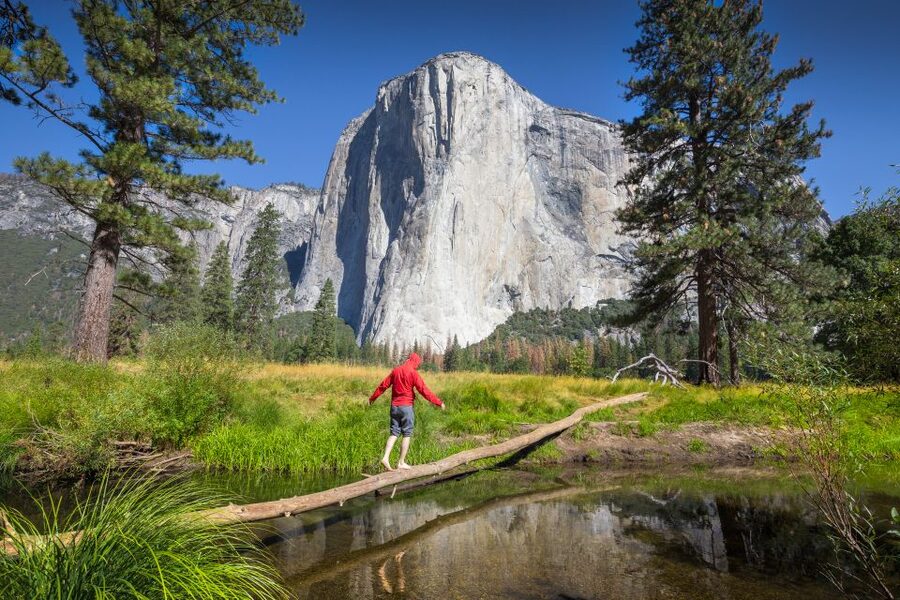 San Francisco to/from Yosemite National Park: 1-Way Transfer - The ride from San Francisco into the Sierra foothills