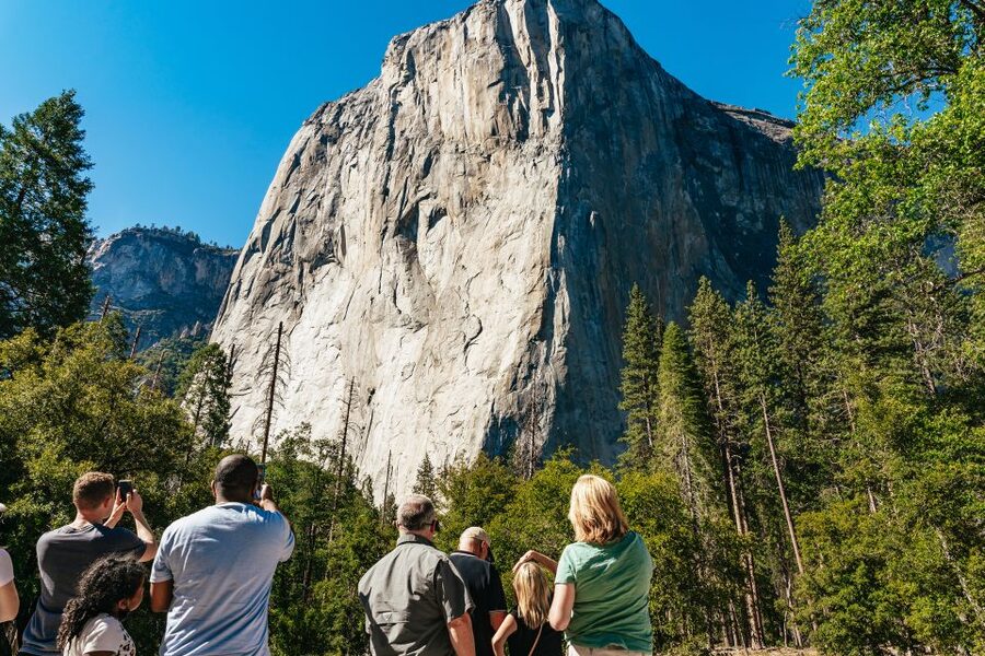 San Francisco: Yosemite National Park & Giant Sequoias Hike - Two free hours in Yosemite Valley