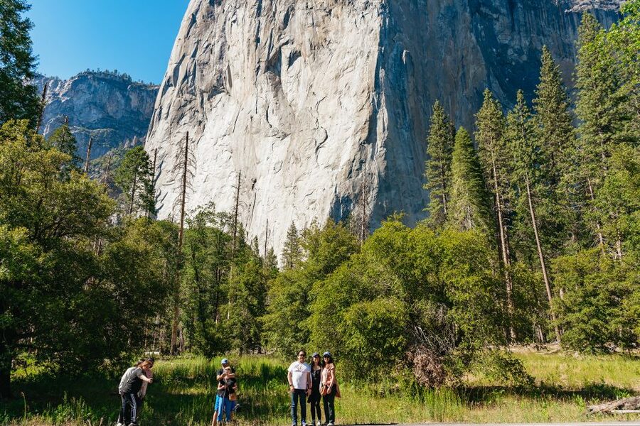 San Francisco: Yosemite National Park & Giant Sequoias Hike - The Tuolumne Grove sequoia walk