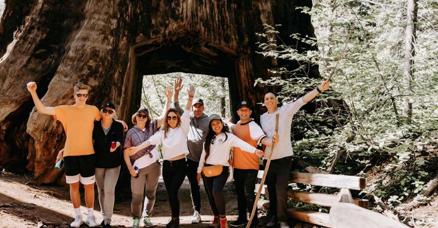 San Jose: Yosemite National Park and Giant Sequoias Trip - Why this San Jose Yosemite trip works