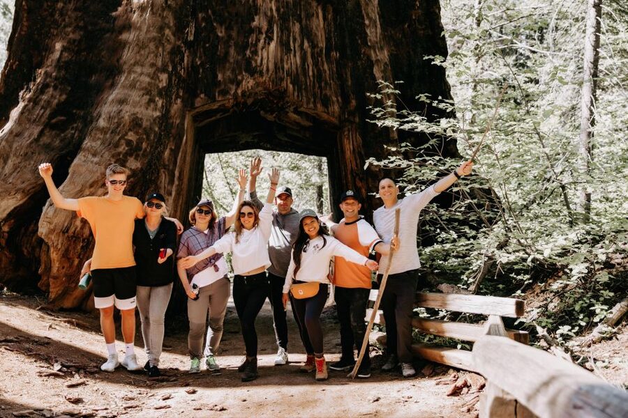 San Jose: Yosemite National Park and Giant Sequoias Trip - Yosemite Valley is the heart of the day