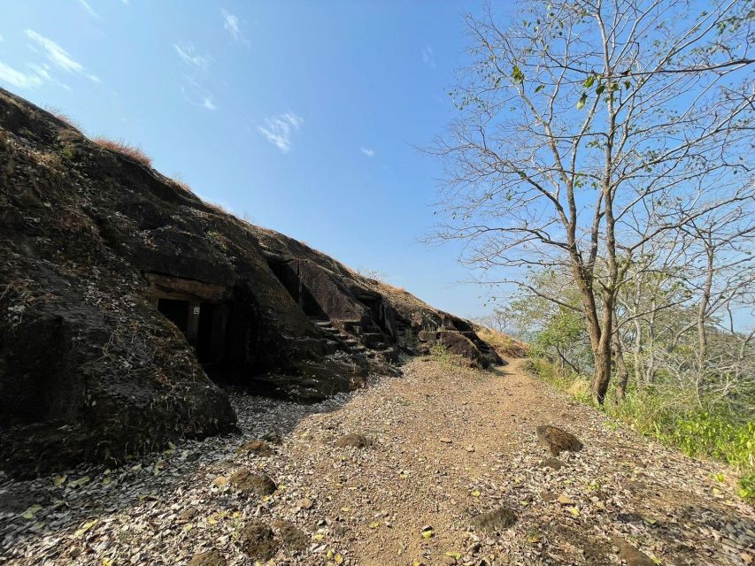Sanjay Gandhi National Park + Kenheri Caves + Lion Safari - Who should book this experience