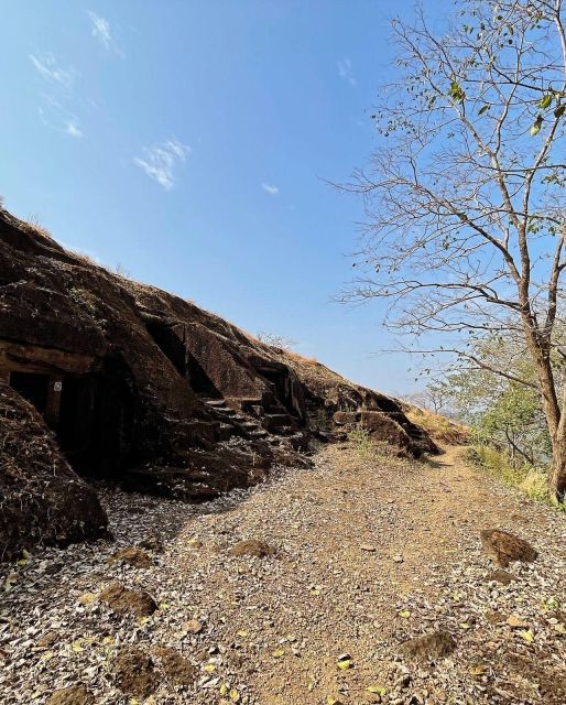 Sanjay Gandhi National Park + Kenheri Caves + Lion Safari - The three-hour Sanjay Gandhi National Park visit