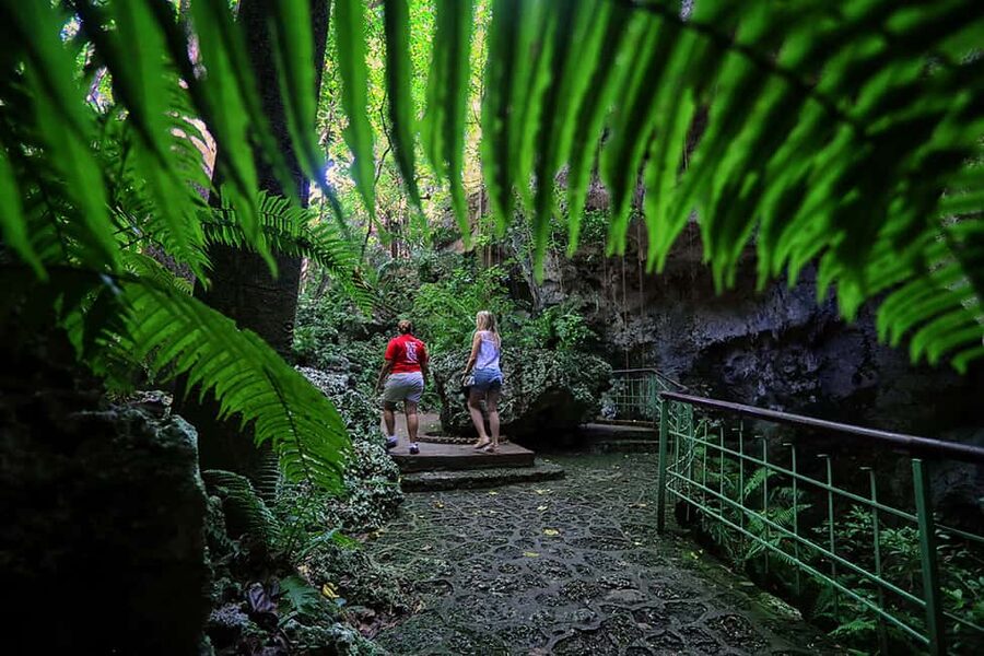 Santo Domingo: Three Eyes National Park Guided Tour - The walk down to the underground lakes