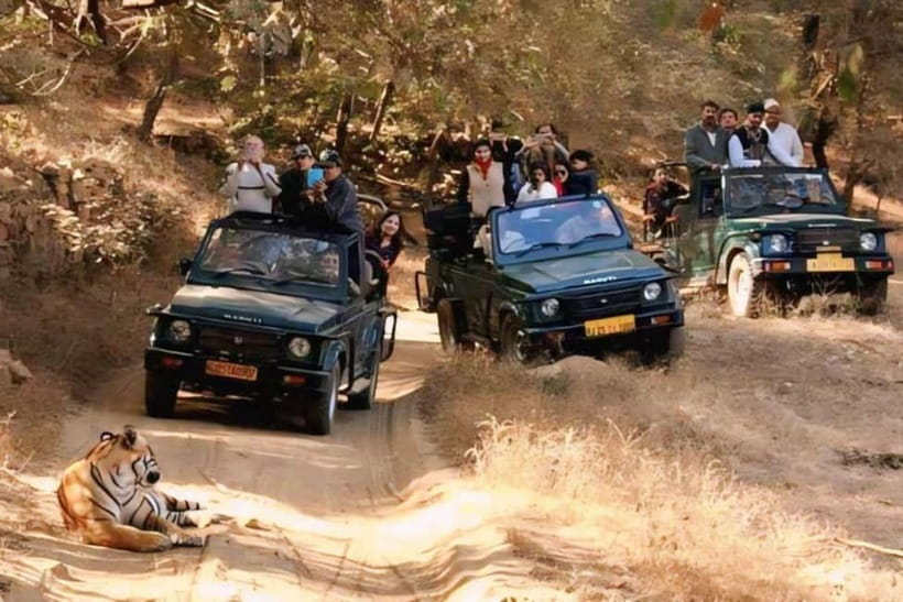 Sawai Madhopur: Ranthambore National Park Guided Jeep Safari - The tiger search begins in Ranthambore