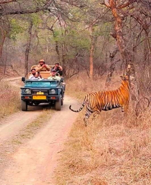 Sawai Madhopur: Ranthambore National Park Guided Jeep Safari - Cancellation and booking flexibility