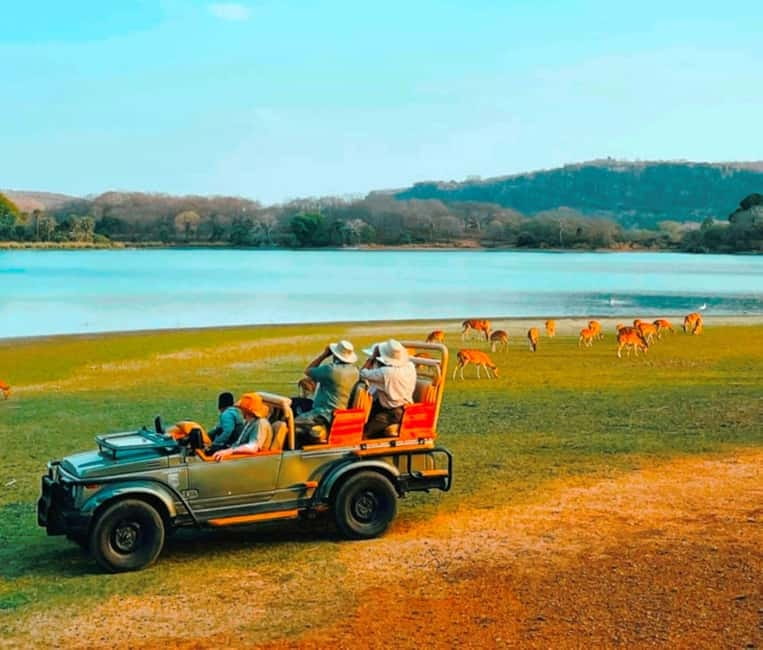 Sawai Madhopur: Ranthambore National Park Guided Jeep Safari - Is $45 a good value?