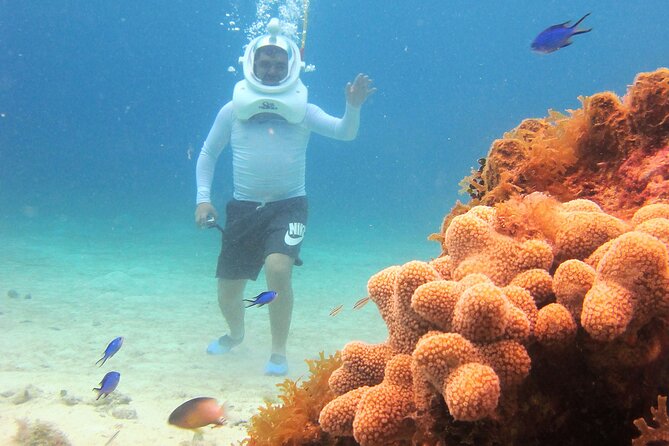 Sea Trek Adventure at Chankanaab National Park - Comfort, Safety, and Physical Requirements