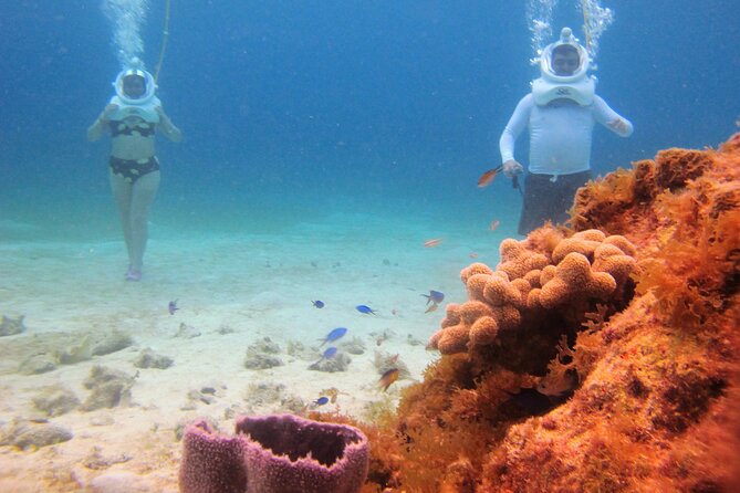 Sea Trek Adventure at Chankanaab National Park - Who Will Enjoy This Most