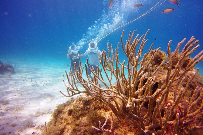 Sea Trek Adventure at Chankanaab National Park - Small Groups and One-on-One Help