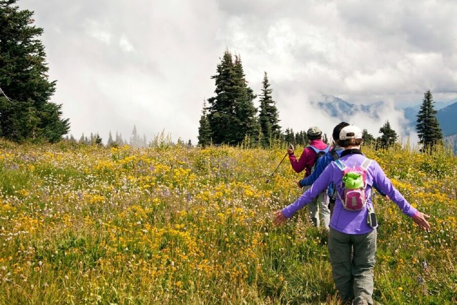 Seattle: Olympic National Park Small-Group Tour - Is $320 a fair price?