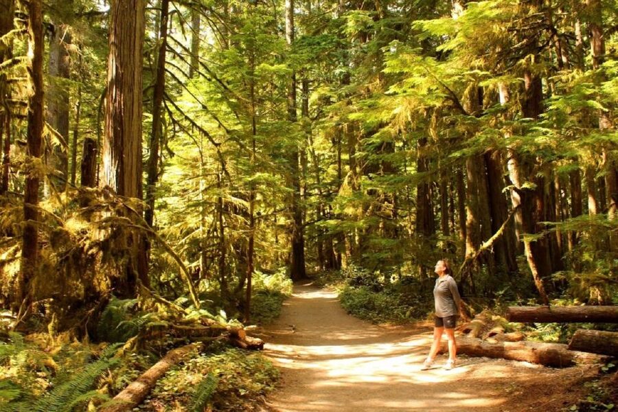 Seattle: Olympic National Park Small-Group Tour - Why Olympic National Park works so well as a day trip
