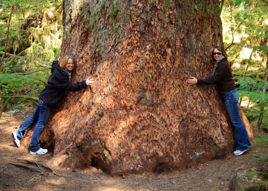 Seattle: Olympic National Park Small-Group Tour - Food, drinks, and the comfort factor