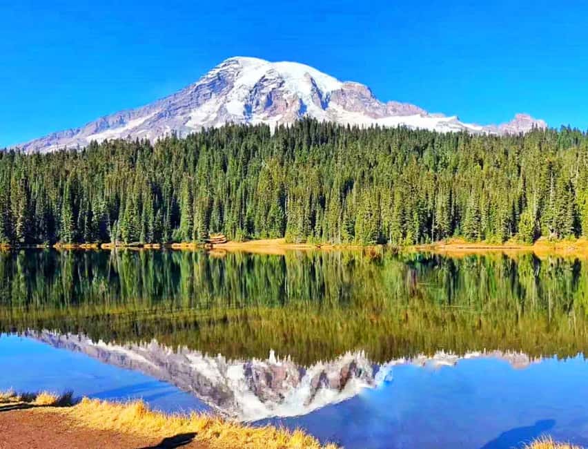 Seattle:Small Group Mount Rainier National Park 1-Day Tour - Key points at a glance