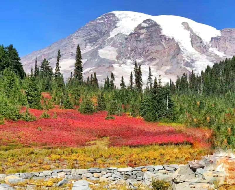 Seattle:Small Group Mount Rainier National Park 1-Day Tour - Longmire Museum and the lower park