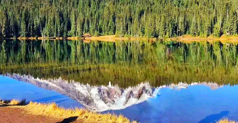 Seattle:Small Group Mount Rainier National Park 1-Day Tour - Guides, group size, and the human side of the day