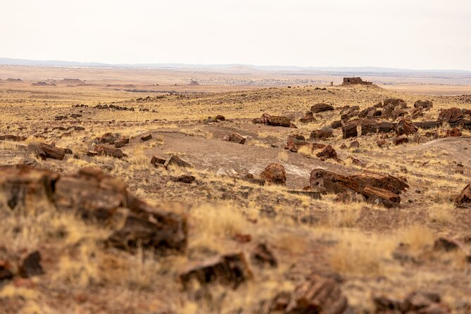 Self-Guided Audio Driving Tour in Petrified Forest National Park - How the GPS audio tour works on the park road