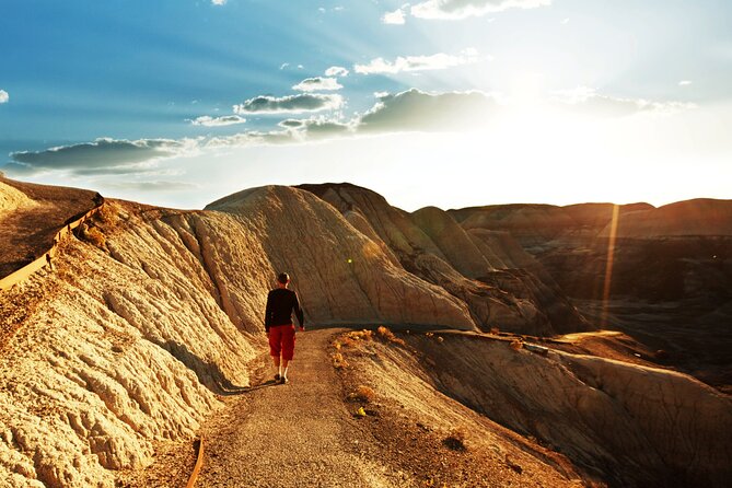 Self-Guided Audio Driving Tour in Petrified Forest National Park - Compare the four northern viewpoints