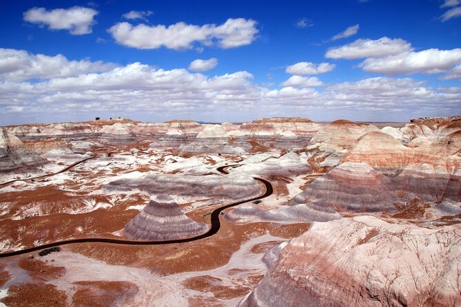 Self-Guided Audio Driving Tour in Petrified Forest National Park - Find the Blue Forest Trailhead and Blue Mesa