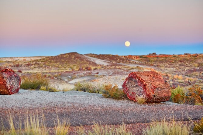 Self-Guided Audio Driving Tour in Petrified Forest National Park - Start at the Painted Desert Visitor Center