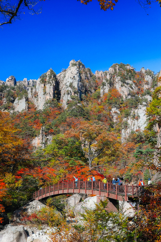 Seoul: Mt. Seoraksan National Park Autumn Foliage Day Tour - Key points to know before booking