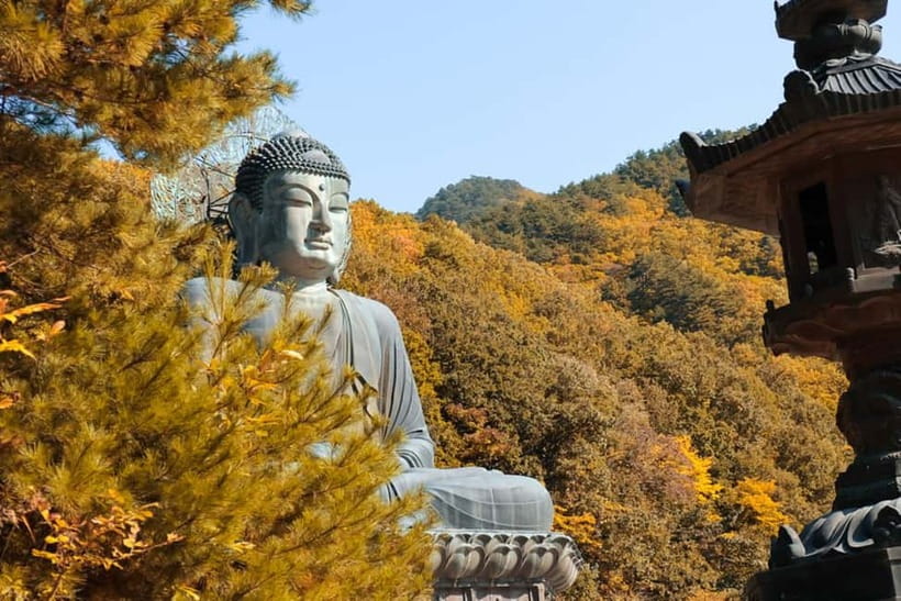 Seoul: Mt. Seoraksan National Park Autumn Foliage Day Tour - Arriving around 10 AM at Seoraksan