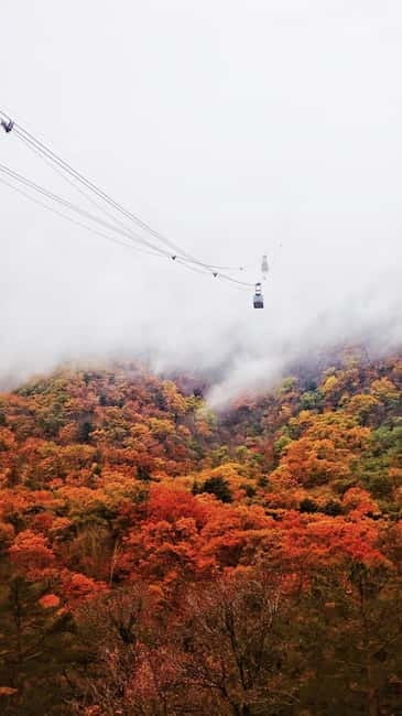 Seoul: Mt. Seoraksan National Park Autumn Foliage Day Tour - Choosing between an easy walk and Ulsanbawi