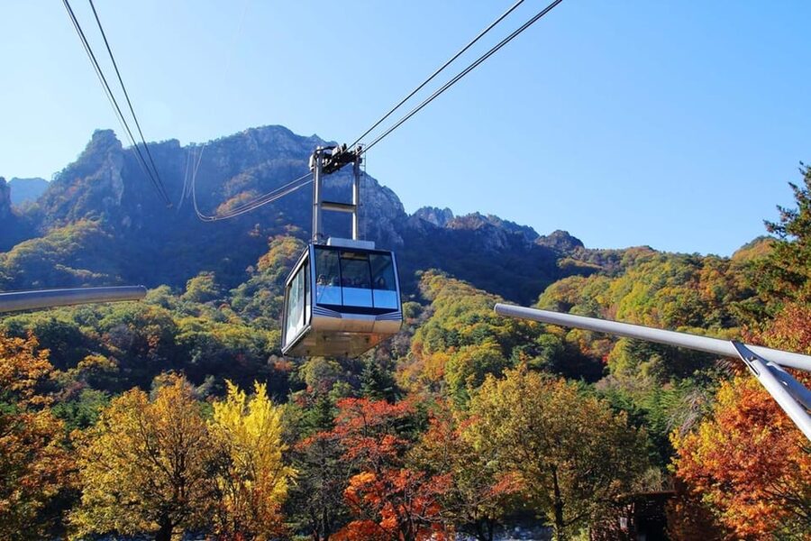Seoul: Mt. Seoraksan National Park Autumn Foliage Day Tour - Food and breaks during your free time