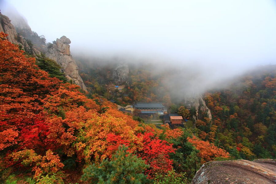 Seoul: Mt. Seoraksan National Park Autumn Foliage Day Tour - How the return journey affects the day