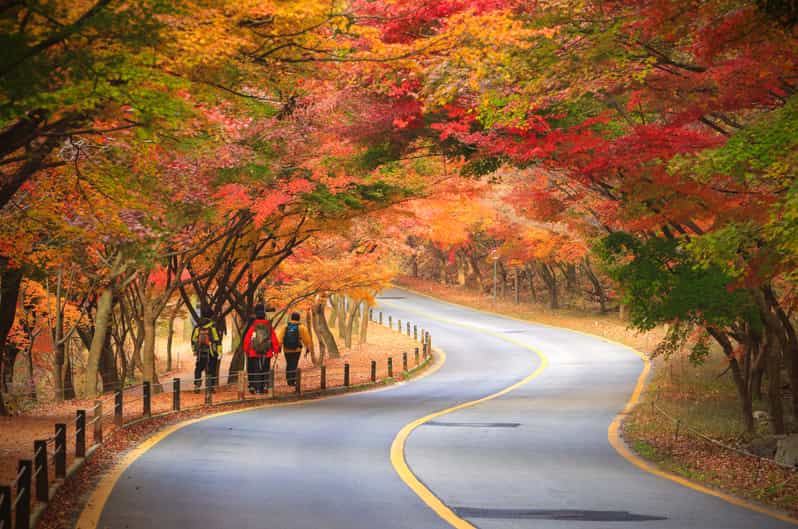 Seoul: Naejangsan National Park Autumn Foliage One Day Tour - Why Naejangsan is worth the long ride from Seoul