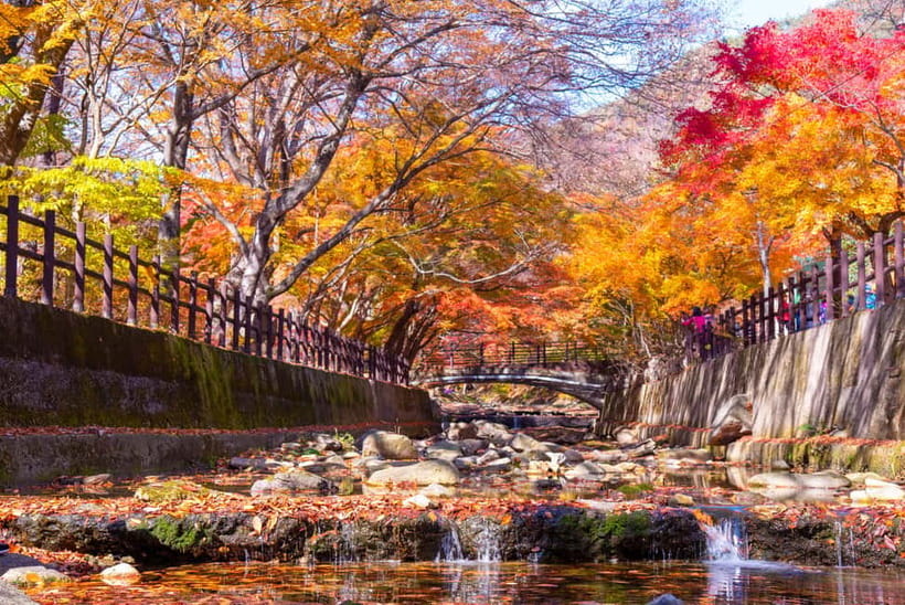 Seoul: Naejangsan National Park Autumn Foliage One Day Tour - Naejangsa Temple and its 1,300-year story