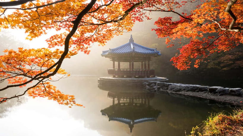 Seoul: Naejangsan National Park Autumn Foliage One Day Tour - Weather, timing, and the fall color gamble