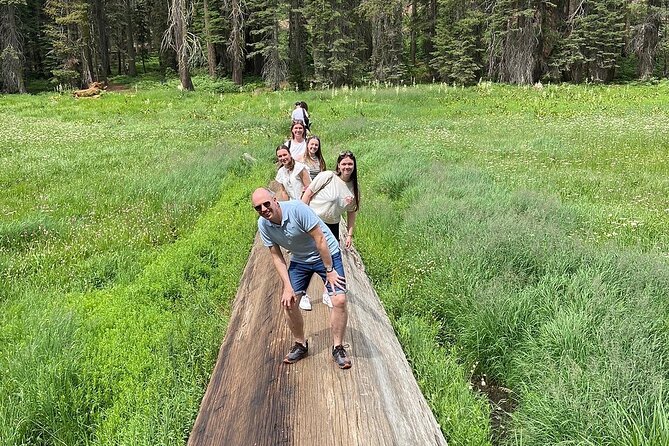 Sequoia Majesty Small Group Tour from Three Rivers. - The climb from Three Rivers on Generals Highway