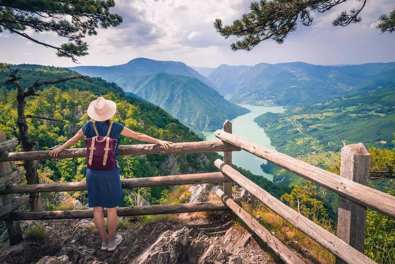 Serbia: Drina River House & Tara National Park Full Day Tour - Why the Drina River House makes this trip worthwhile