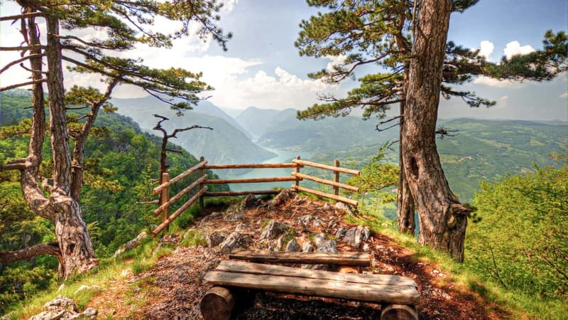 Serbia: Drina River House & Tara National Park Full Day Tour - One hour beside the famous river house