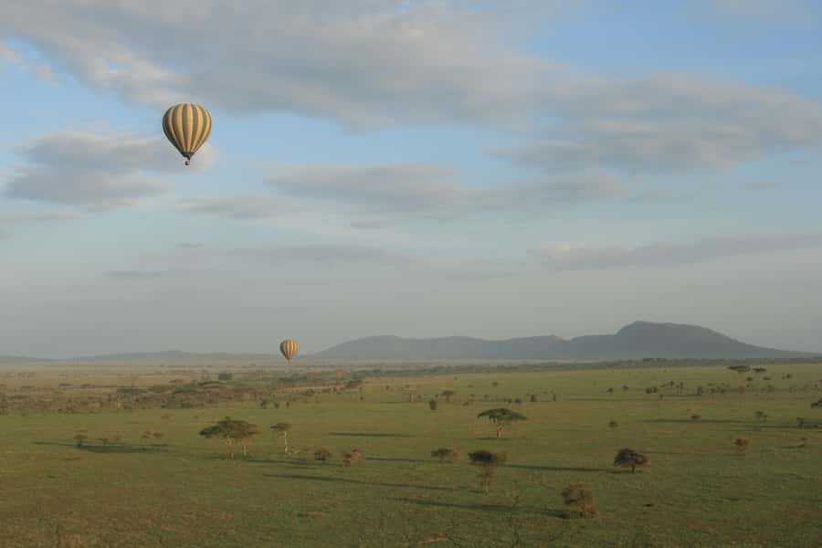 Serengeti National Park: Balloon Safari at Dawn - The landing and champagne toast
