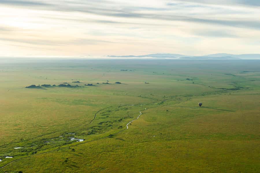 Serengeti National Park: Balloon Safari at Dawn - Breakfast beneath an acacia tree