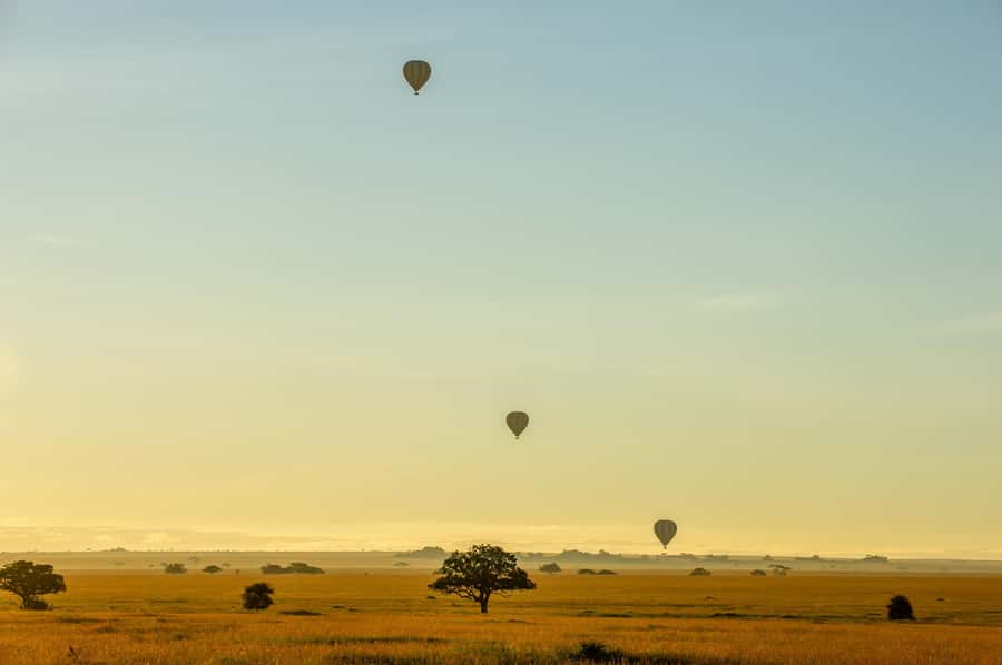 Serengeti National Park: Balloon Safari at Dawn - Who should book this flight?