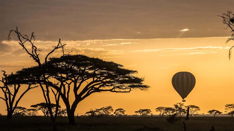 Serengeti National Park: Balloon Safari at Dawn - My verdict: a costly but memorable Serengeti morning