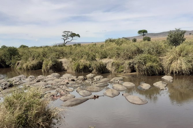 SERENGETI NATIONAL PARK Tour - The migration calendar is more important than the headline name