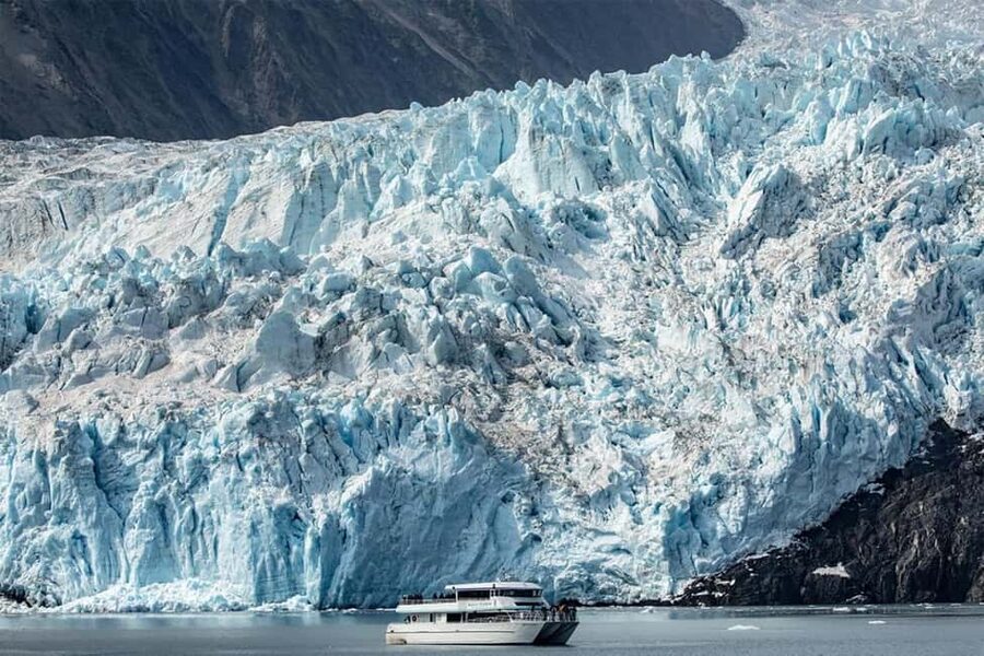 Seward: Captain's Choice Kenai Fjords National Park Tour - The Alaska Maritime Wildlife Refuge and seabird cliffs