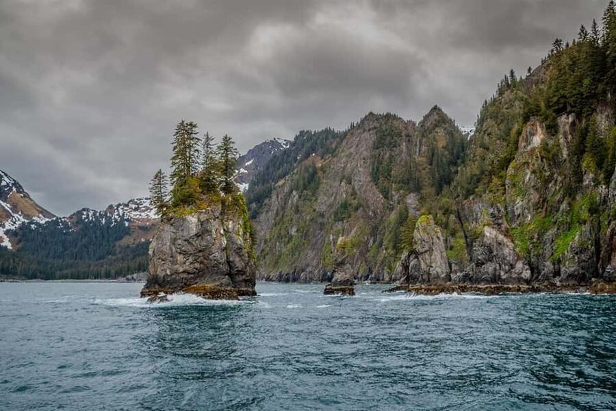 Seward: Captain's Choice Kenai Fjords National Park Tour - Should you book the Captain’s Choice cruise?