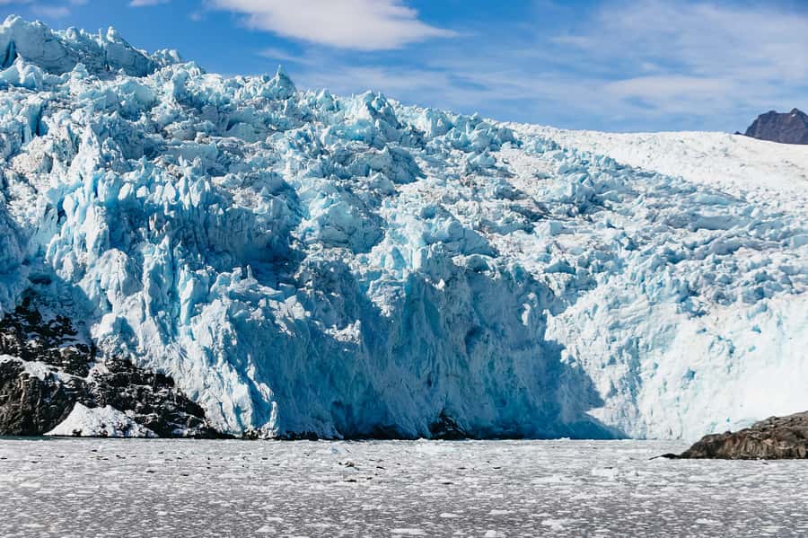 Seward: Kenai Fjords National Park Catamaran Cruise w/Lunch - Key points to know before you book