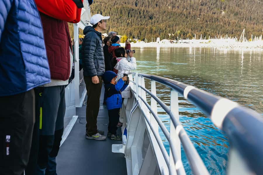 Seward: Kenai Fjords National Park Catamaran Cruise w/Lunch - The Kenai Fjords scenery and tidewater glaciers