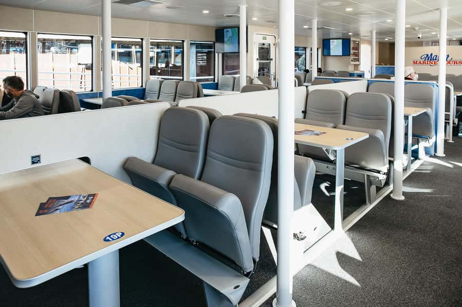 Seward: Kenai Fjords National Park Catamaran Cruise w/Lunch - Weather, clothing, and the little choices that matter