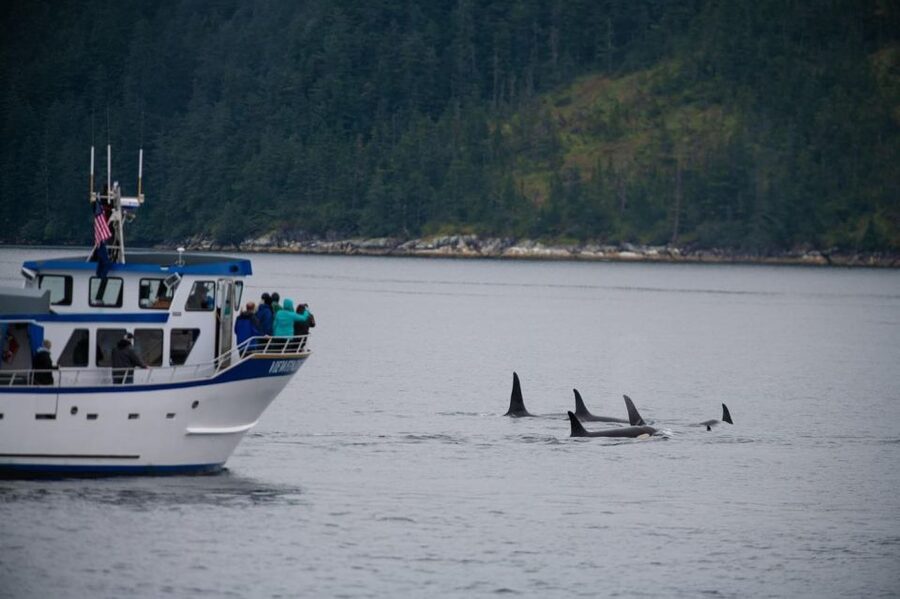 Seward: Kenai Fjords National Park Extended Cruise - What the crew adds to the day